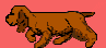 gif anim cocker